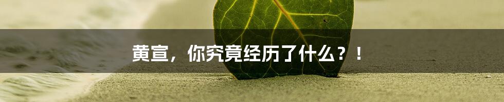 黄宣，你究竟经历了什么？！