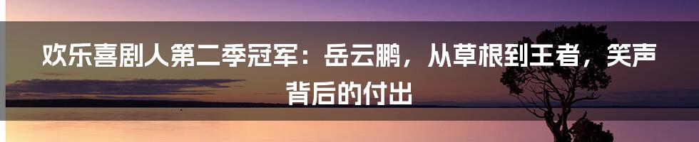 欢乐喜剧人第二季冠军：岳云鹏，从草根到王者，笑声背后的付出