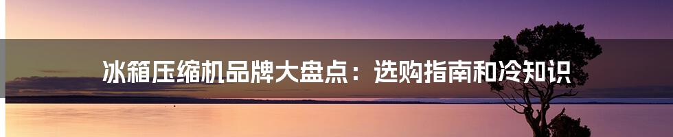 冰箱压缩机品牌大盘点：选购指南和冷知识