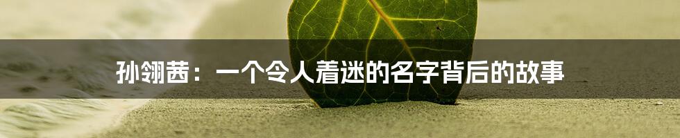 孙翎茜：一个令人着迷的名字背后的故事