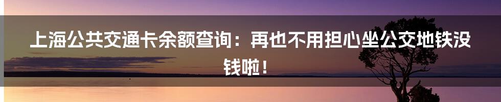 上海公共交通卡余额查询：再也不用担心坐公交地铁没钱啦！