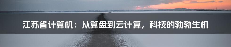 江苏省计算机：从算盘到云计算，科技的勃勃生机