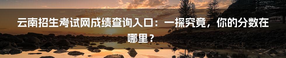 云南招生考试网成绩查询入口：一探究竟，你的分数在哪里？