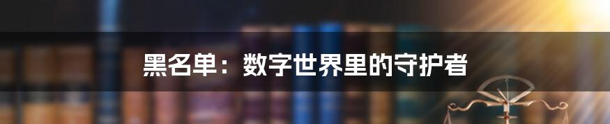 黑名单：数字世界里的守护者