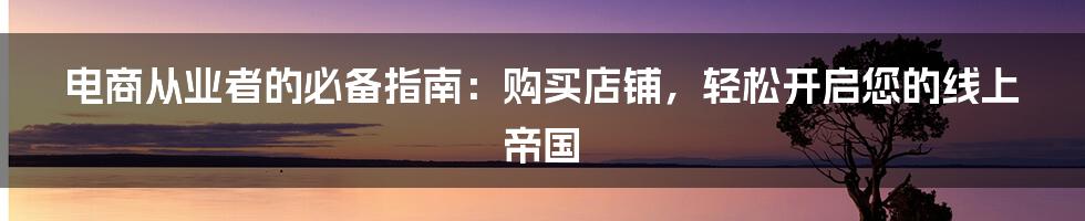 电商从业者的必备指南：购买店铺，轻松开启您的线上帝国