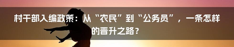 村干部入编政策：从“农民”到“公务员”，一条怎样的晋升之路？