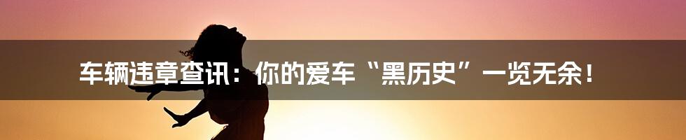 车辆违章查讯：你的爱车“黑历史”一览无余！