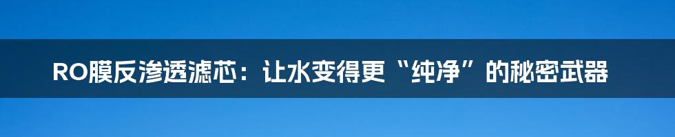 RO膜反渗透滤芯：让水变得更“纯净”的秘密武器