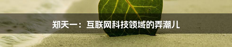 郑天一：互联网科技领域的弄潮儿