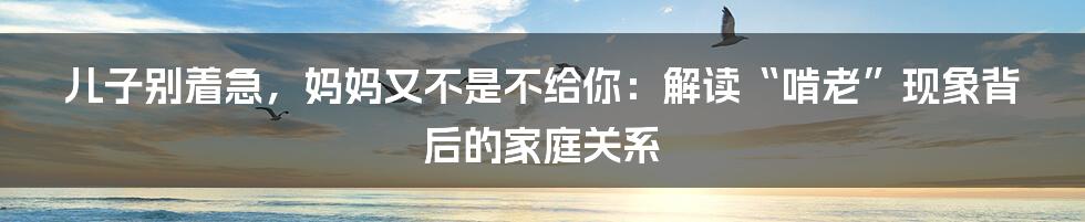 儿子别着急，妈妈又不是不给你：解读“啃老”现象背后的家庭关系