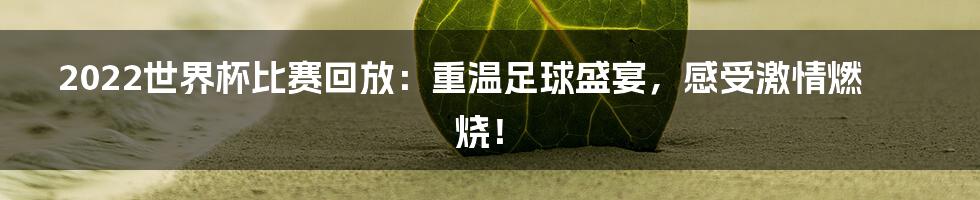 2022世界杯比赛回放：重温足球盛宴，感受激情燃烧！