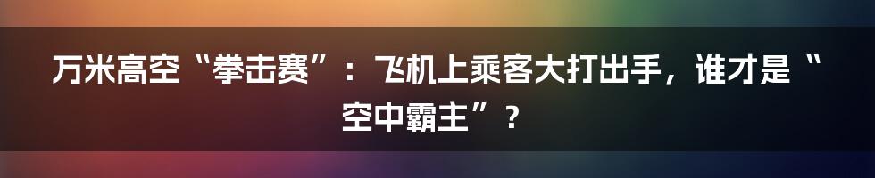 万米高空“拳击赛”：飞机上乘客大打出手，谁才是“空中霸主”？