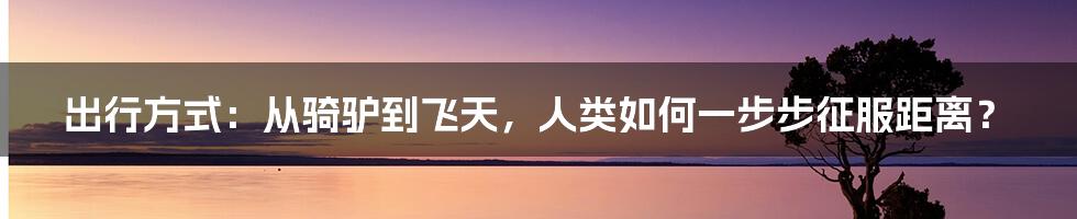 出行方式：从骑驴到飞天，人类如何一步步征服距离？