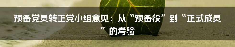 预备党员转正党小组意见：从“预备役”到“正式成员”的考验