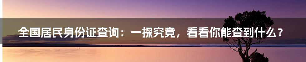 全国居民身份证查询：一探究竟，看看你能查到什么？