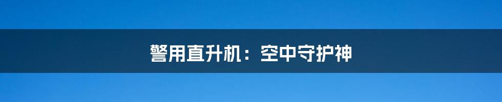 警用直升机：空中守护神