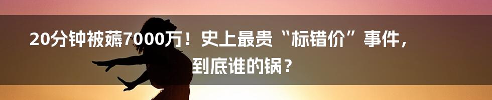 20分钟被薅7000万！史上最贵“标错价”事件，到底谁的锅？