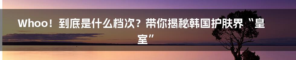 Whoo！到底是什么档次？带你揭秘韩国护肤界“皇室”