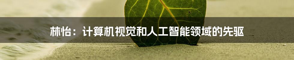 林怡：计算机视觉和人工智能领域的先驱