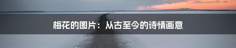 梅花的图片：从古至今的诗情画意