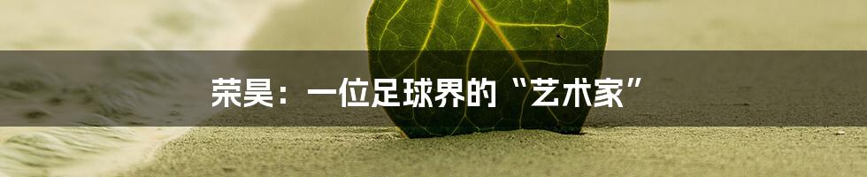 荣昊：一位足球界的“艺术家”