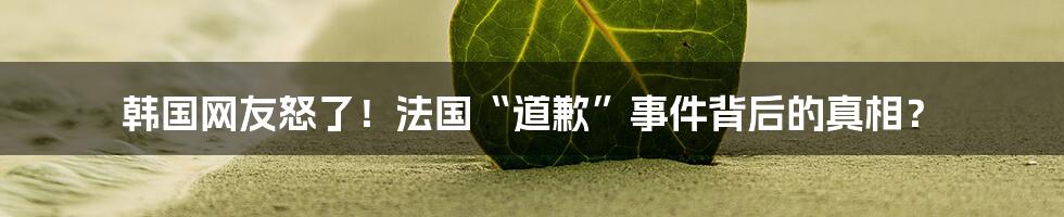 韩国网友怒了！法国“道歉”事件背后的真相？