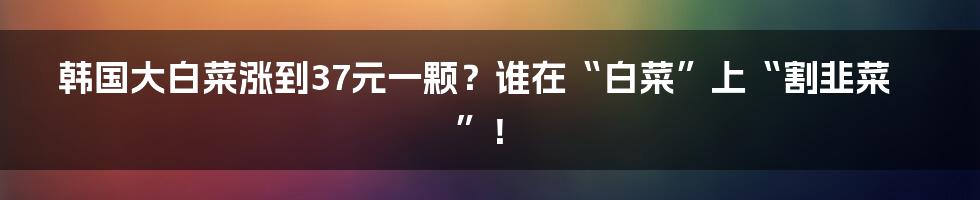 韩国大白菜涨到37元一颗？谁在“白菜”上“割韭菜”！