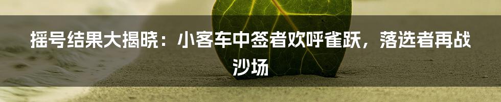 摇号结果大揭晓：小客车中签者欢呼雀跃，落选者再战沙场