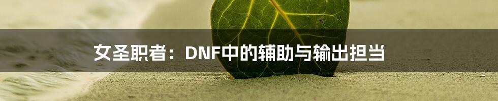 女圣职者：DNF中的辅助与输出担当