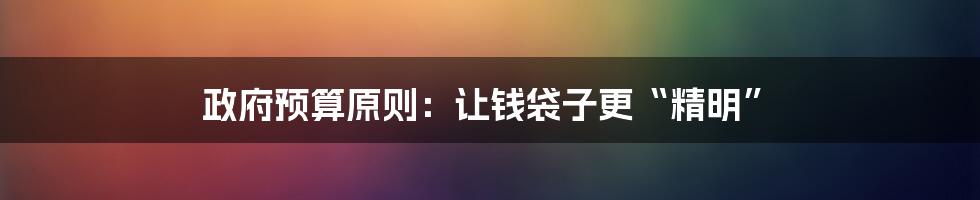 政府预算原则：让钱袋子更“精明”