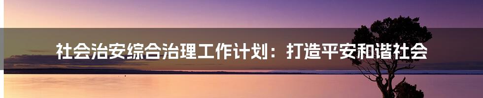 社会治安综合治理工作计划：打造平安和谐社会