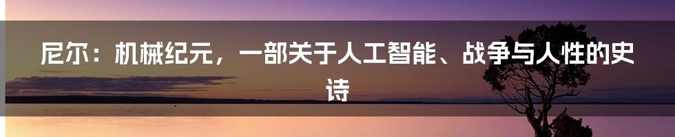 尼尔：机械纪元，一部关于人工智能、战争与人性的史诗