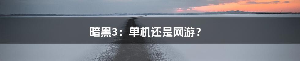 暗黑3：单机还是网游？