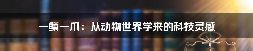 一鳞一爪：从动物世界学来的科技灵感