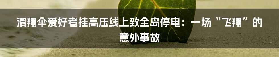 滑翔伞爱好者挂高压线上致全岛停电：一场“飞翔”的意外事故