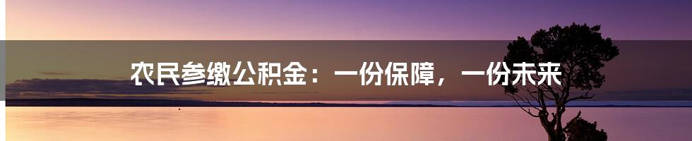 农民参缴公积金：一份保障，一份未来