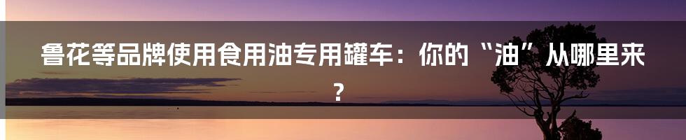 鲁花等品牌使用食用油专用罐车：你的“油”从哪里来？