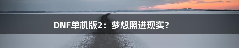 DNF单机版2：梦想照进现实？