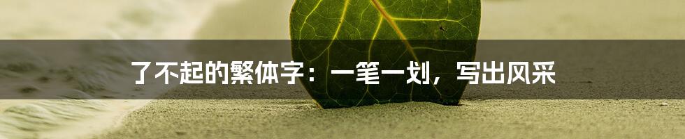 了不起的繁体字：一笔一划，写出风采