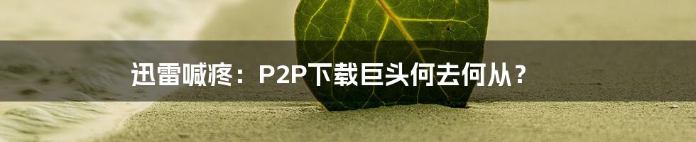 迅雷喊疼：P2P下载巨头何去何从？