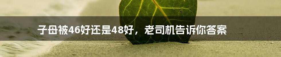 子母被46好还是48好，老司机告诉你答案