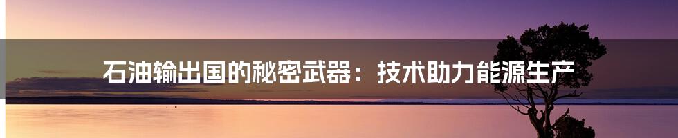 石油输出国的秘密武器：技术助力能源生产