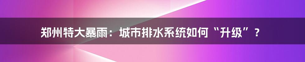 郑州特大暴雨：城市排水系统如何“升级”？