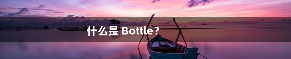 什么是 Bottle？