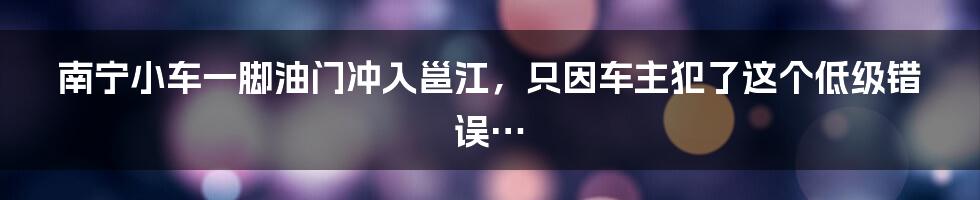 南宁小车一脚油门冲入邕江，只因车主犯了这个低级错误…