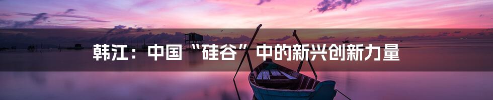 韩江：中国“硅谷”中的新兴创新力量