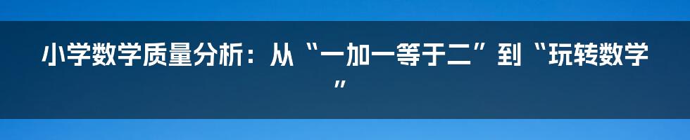 小学数学质量分析：从“一加一等于二”到“玩转数学”