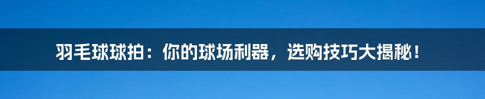 羽毛球球拍：你的球场利器，选购技巧大揭秘！