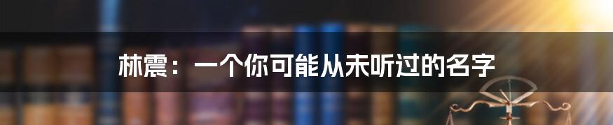 林震：一个你可能从未听过的名字