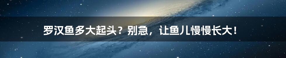 罗汉鱼多大起头？别急，让鱼儿慢慢长大！